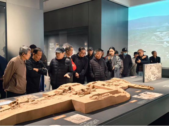 考古博物馆参观学习活动