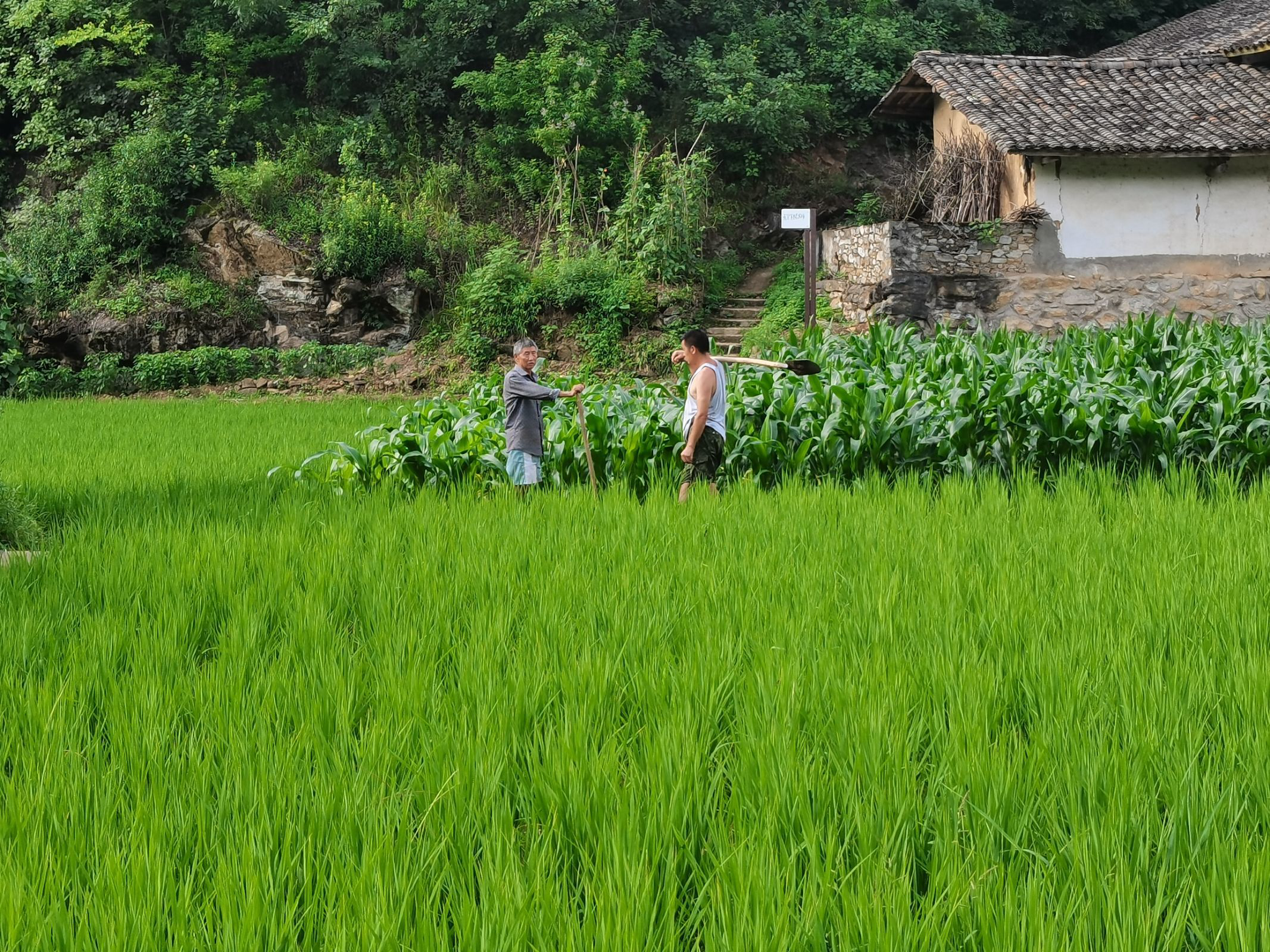 共建绿色生态家园，助力乡村振兴战略