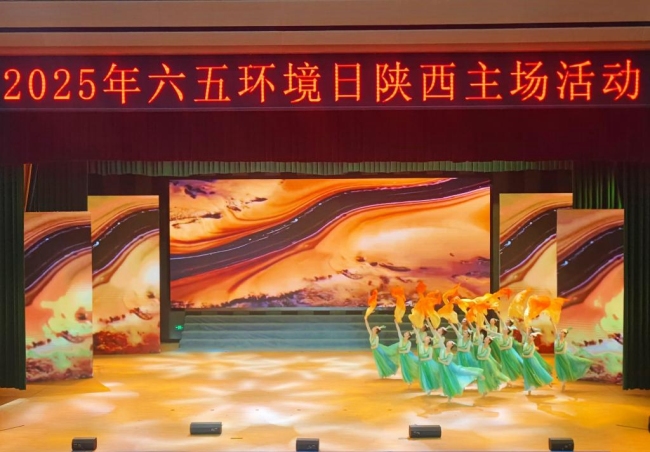 展演现场 展演现场