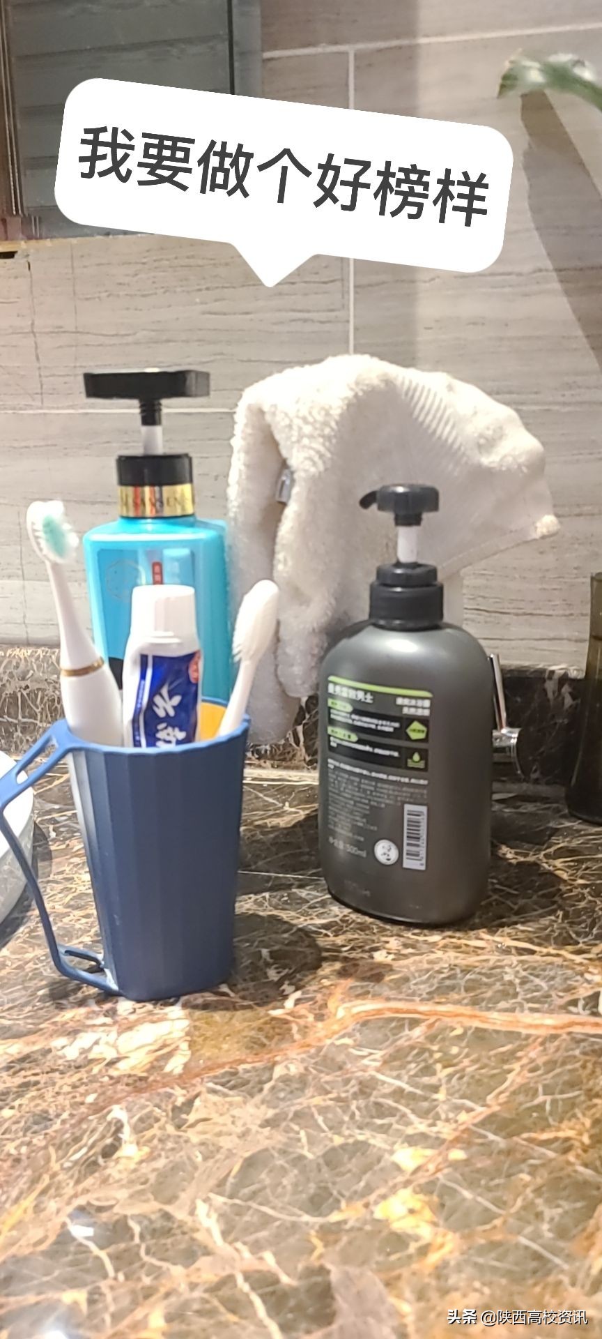 陕财职院“碧峪秦岭”环境保护调研组在城固县进行社会实践活动