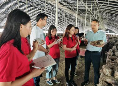 推进三产融合打造振兴样板---陕西财经职业技术学院生态文明理念下的乡村振兴调研学习（三）