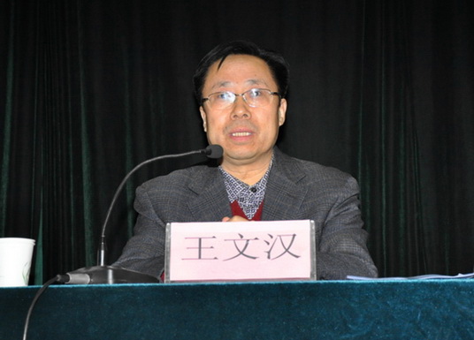 副院长王文汉发表讲话