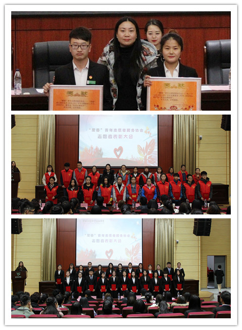 窦曼娟、王炅、刘红鸽,分别为优秀志愿者、志愿服务先进干部、优秀志愿者团体颁发证书